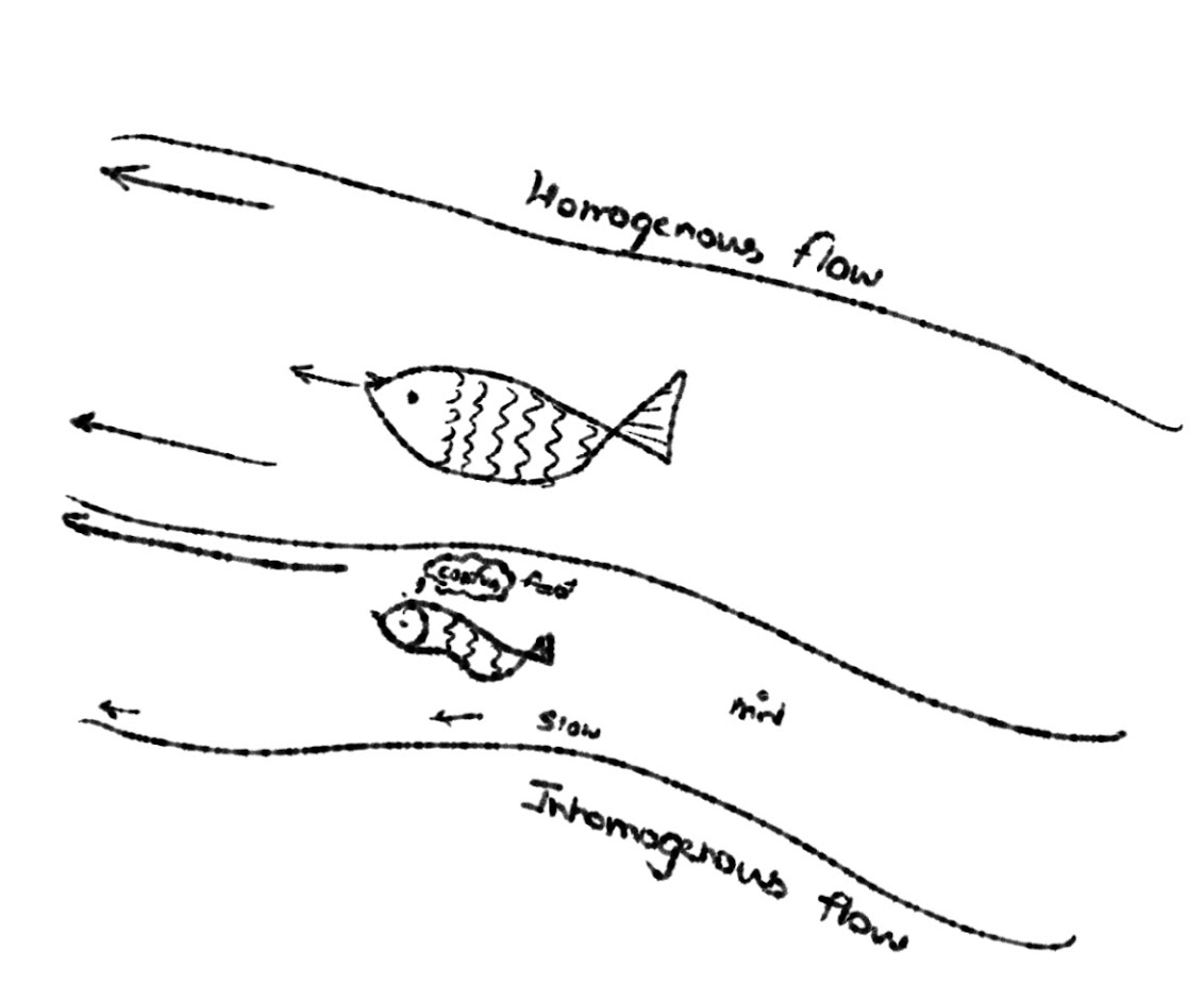 Homogenous and inhomogenous flows